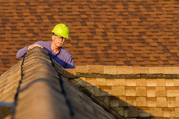 Best Roof Gutter Cleaning  in Osburn, ID